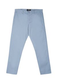 TOP SECRET - Spodnie męskie typu chino o regularnym kroju. Okazja: na co dzień. Kolor: niebieski. Materiał: tkanina, bawełna. Styl: casual, klasyczny, elegancki #5