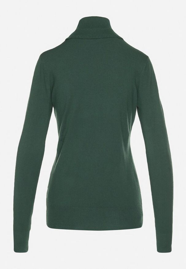 Born2be - Zielony Golf Sweter z Wiskozą i Kaszmirem Zailaya. Okazja: na co dzień. Typ kołnierza: golf. Kolor: zielony. Materiał: wiskoza, kaszmir. Styl: casual