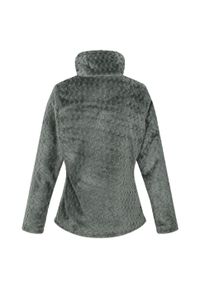 Regatta - Damska Bluza Z Suwakiem Heloise. Kolor: zielony. Materiał: polar. Sezon: zima. Sport: turystyka piesza #2