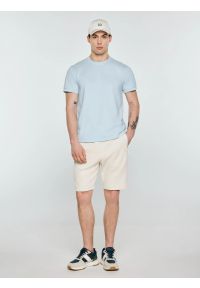 Big-Star - Koszulka męska bawełniana z subtelnym nadrukiem błękitna Wlader 400. Okazja: na co dzień. Kolor: niebieski. Materiał: bawełna. Wzór: nadruk. Styl: sportowy, klasyczny, casual #2