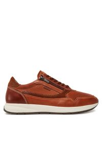 Pikolinos Sneakersy M2B-6263C1 Brązowy. Kolor: brązowy. Materiał: skóra