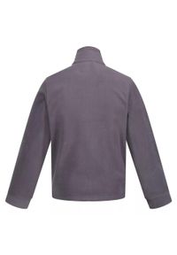 Regatta - Bluza Polarowa Męska Classic. Kolor: szary. Materiał: polar. Sezon: zima. Styl: sportowy. Sport: turystyka piesza #2