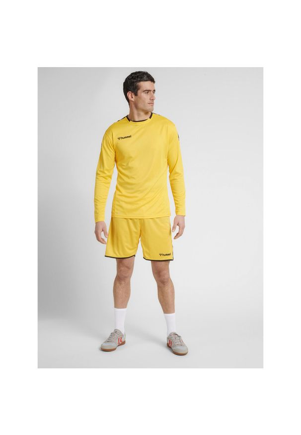 Hummel koszulka męska z długim rękawem hml Authentic Poly Jersey. Kolor: żółty, wielokolorowy, pomarańczowy, czarny. Materiał: jersey. Długość rękawa: długi rękaw. Długość: długie