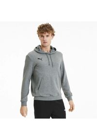 Bluza treningowa męska Puma teamGOAL 23 Causals Hoody. Kolor: szary