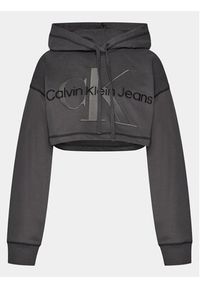 Calvin Klein Jeans Bluza Hero Monologo Short Hoodie J20J222540 Szary Regular Fit. Kolor: szary. Materiał: bawełna #6