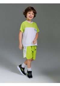 Sinsay - Szybkoschnące sportowe szorty Active - zielony. Kolor: zielony. Styl: sportowy #1