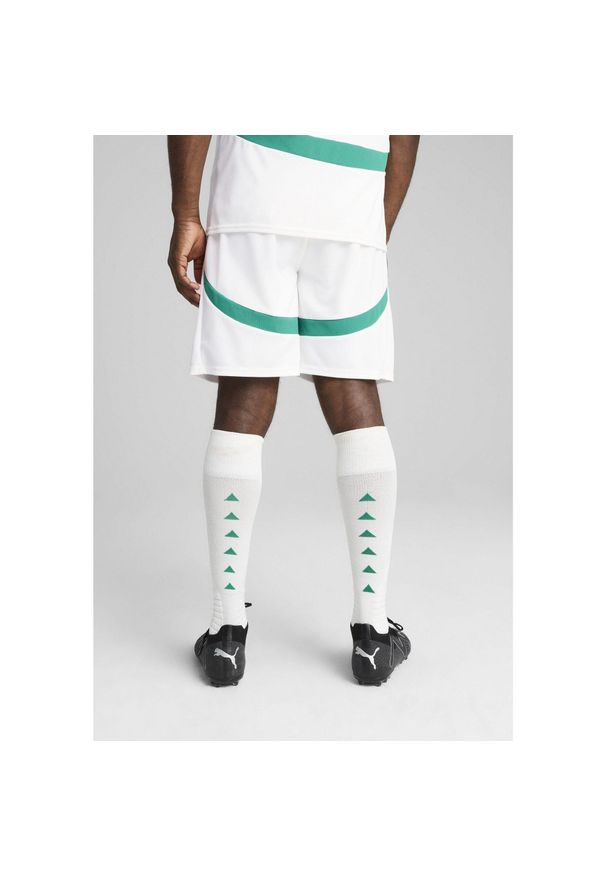 Puma - Męskie szorty Senegal 2025 PUMA White Sport Green. Kolor: biały, wielokolorowy, zielony. Wzór: aplikacja