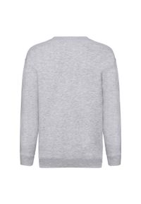 FRUIT OF THE LOOM - Sweter Premium Dla Dzieci. Kolor: szary