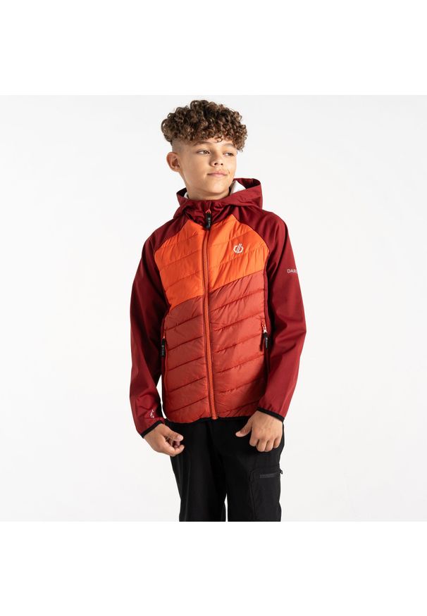 DARE 2B - Kurtka hybrydowa dziecięca Explore. Kolor: pomarańczowy. Materiał: tkanina, softshell