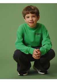 4f - 4F Longsleeve loose z nadrukiem chłopięcy - zielony 134/140 (8-10 lat). Okazja: na co dzień, na uczelnię. Kolor: zielony. Materiał: dzianina, bawełna, skóra. Długość rękawa: długi rękaw. Wzór: nadruk. Sezon: lato. Styl: casual #2