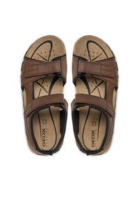 Geox Sandały Uomo Sandal Strada U4524B 000ME C6006 Brązowy. Kolor: brązowy. Materiał: skóra
