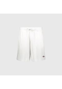 BEAR - Szorty Bear Małe Logo białe. Kolor: biały. Sport: skateboard #1