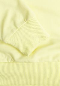 Renee - Jasnozielona Bluza z Bawełną ze Ściągaczami przy Rękawach i w Pasie Alberia. Kolor: zielony. Materiał: bawełna #5