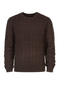 Ochnik - Sweter męski. Kolor: brązowy. Materiał: materiał. Długość: długie. Wzór: ze splotem. Sezon: jesień #3