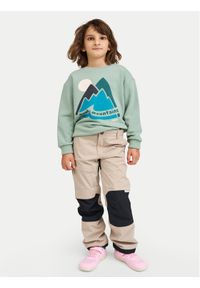 Reima Spodnie outdoor Sampu 5100245A Beżowy Regular Fit. Kolor: beżowy. Materiał: syntetyk. Sport: outdoor #1