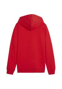 Puma - Bluza Z Kapturem Dziecięca/dziecięca Team Goal Casual. Typ kołnierza: kaptur. Kolor: czerwony