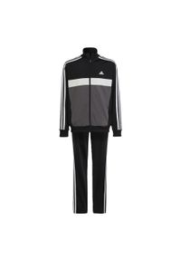 Adidas - Dres Essentials 3-Stripes Tiberio. Kolor: wielokolorowy, szary, czarny, brązowy. Materiał: dresówka. Styl: elegancki