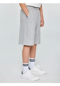 Big-Star - Szorty chłopięce dresowe szare Doner 901. Kolor: szary. Materiał: dresówka. Wzór: haft. Styl: klasyczny, sportowy #5