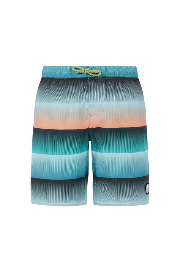 Spodenki kąpielowe dla dzieci Protest Ray. Kolor: wielokolorowy, niebieski, zielony