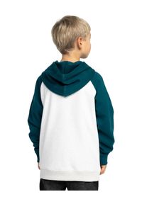 DC Shoes - Bluza z kapturem dla Chłopcy DC CORPO Niebieski. Typ kołnierza: kaptur. Kolor: niebieski. Materiał: materiał, poliester, bawełna. Sport: skateboard