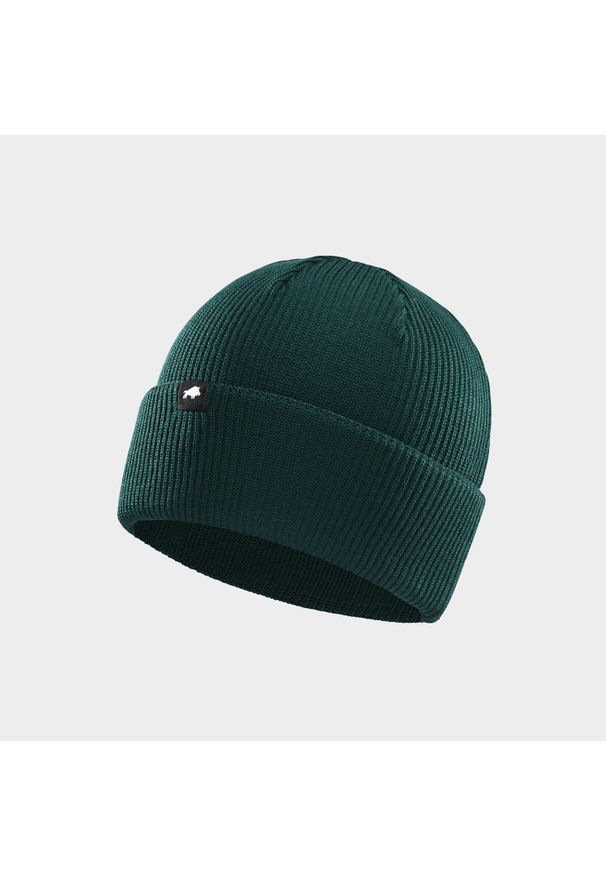 Czapka zimowa DZIK® zielona. Kolor: zielony. Materiał: wełna, włókno. Sezon: zima. Styl: sportowy