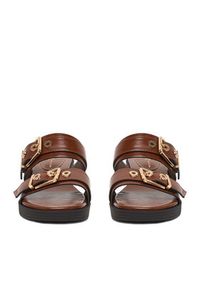 Beverly Hills Polo Club Klapki CEO-HY7006-1 Brązowy. Kolor: brązowy. Materiał: materiał #5
