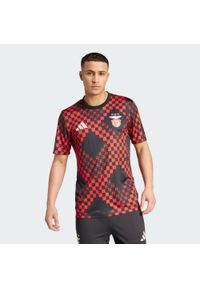 Adidas - Koszulka Benfica 25/26 Pre-Match. Kolor: czarny