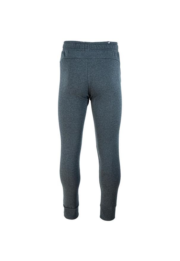 Spodnie treningowe męskie Puma ESS Logo Pants TR. Kolor: wielokolorowy, czarny, szary