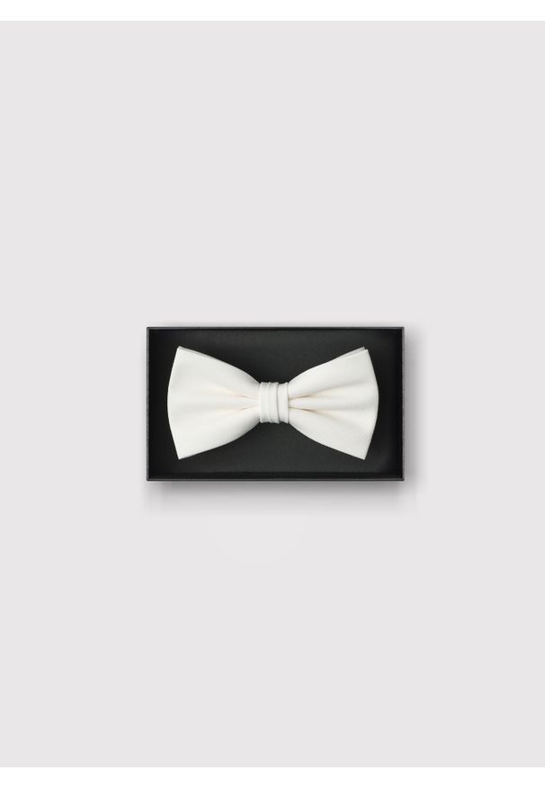 Pako Lorente - PAKO LORENTE – Beżowa gładka muszka męska. Okazja: na wesele, na ślub cywilny. Kolor: beżowy. Wzór: gładki. Styl: elegancki