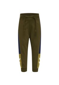 Dresy dla chłopca niemowlaka Hummel Common. Kolor: zielony. Materiał: dresówka. Sport: bieganie
