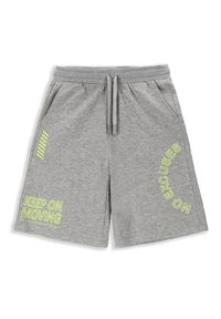 Spodenki sportowe dla dzieci Lemon Explore WL4 do kolan. Kolor: szary. Materiał: bawełna, wiskoza. Długość: do kolan. Styl: sportowy
