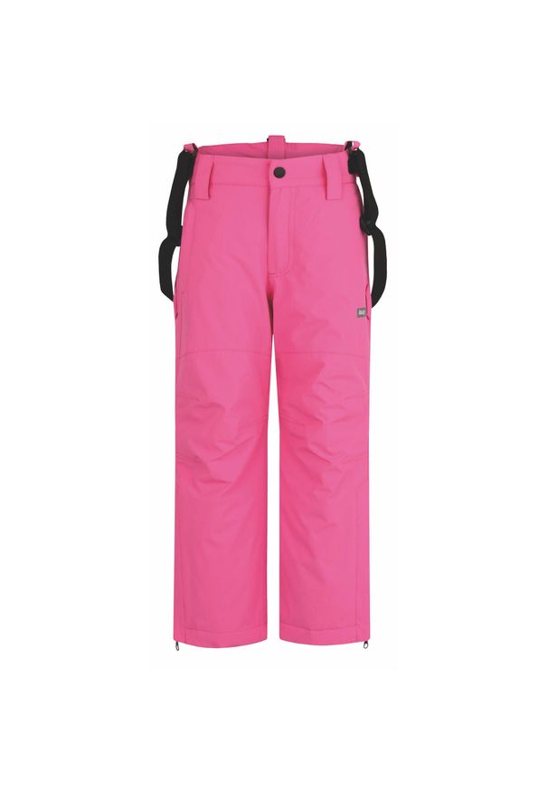 SWISS-SKI - LOAP Fumo Dziecięce spodnie narciarskie 164. Kolor: szary, niebieski, wielokolorowy. Sezon: zima. Sport: narciarstwo