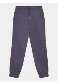 KABOOKI® Spodnie dresowe 14010052 Fioletowy Regular Fit. Kolor: fioletowy. Materiał: bawełna