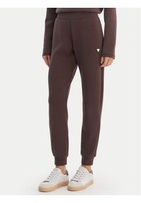 Guess Spodnie dresowe V4YB08 KCAY2 Brązowy Regular Fit. Kolor: brązowy. Materiał: syntetyk #1