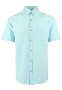 Koszula Weekendowa z Lnem, Krótki Rękaw - Brave Soul - Miętowy-Niebieski. Okazja: na co dzień. Kolor: niebieski. Materiał: bawełna, len. Długość rękawa: krótki rękaw. Długość: krótkie. Styl: casual #1