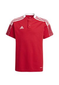 Adidas - Koszulka dla dzieci adidas Tiro 21 Polo. Typ kołnierza: polo. Kolor: czerwony