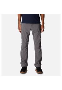 columbia - Spodnie turystyczne męskie Columbia Silver Ridge Utility Pant. Kolor: szary