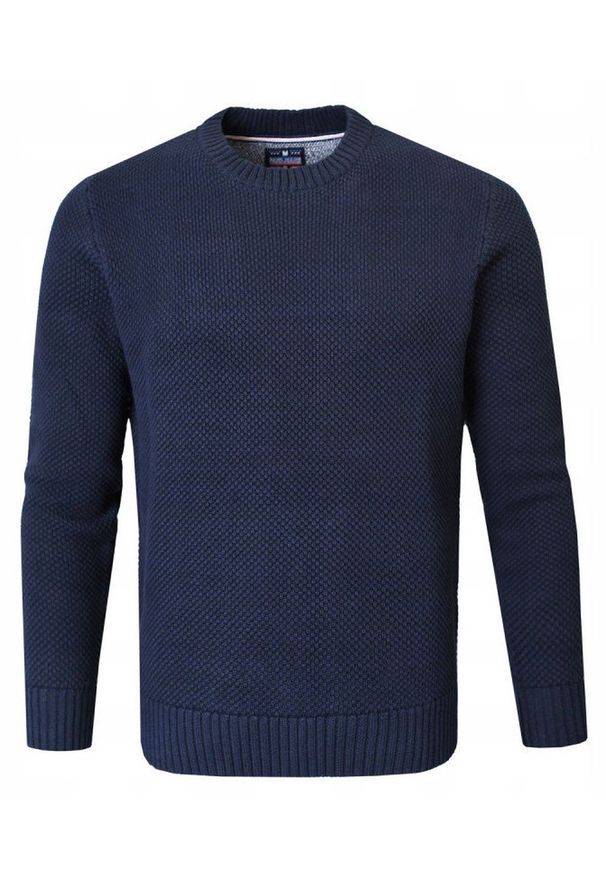 Bawełniany Sweter Męski z Drobnym Splotem - Pako Jeans - Granatowy. Kolor: niebieski. Materiał: bawełna. Wzór: ze splotem. Sezon: wiosna, zima, jesień. Styl: elegancki, klasyczny