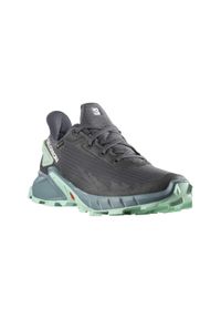 salomon - Buty turystyczne damskie Salomon Alphacross 4 Gtx. Kolor: szary