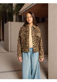 Sinsay - Katana w zwierzęcy wzór - wielobarwny. Wzór: motyw zwierzęcy #1