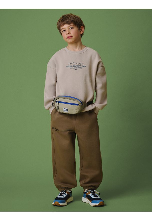 4f - 4F Spodnie dresowe joggery chłopięce - brązowe 122/128 (6-8 lat). Okazja: na co dzień. Kolor: brązowy. Materiał: dresówka. Sezon: lato. Styl: casual, sportowy