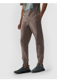 4f - Spodnie dresowe joggery męskie - brązowe. Kolor: brązowy. Materiał: dresówka