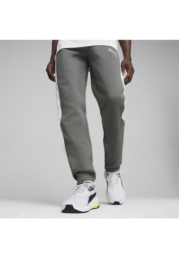 Puma - Męskie spodnie dresowe EVOSTRIPE PUMA Mineral Gray. Kolor: szary. Materiał: dresówka. Sport: joga i pilates