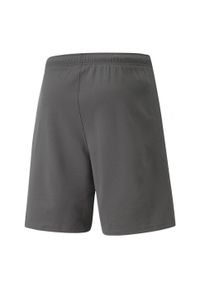 Puma - Męskie Spodenki TeamRISE. Kolor: brązowy. Sport: turystyka piesza #2