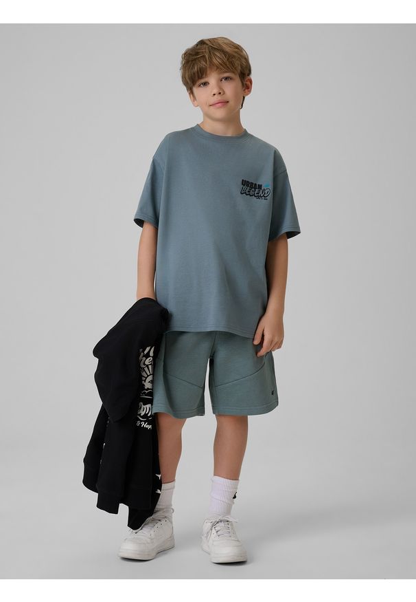 4f - 4F T-shirt regular z nadrukiem chłopięcy - turkusowy 146/152 (10-12 lat). Okazja: na co dzień. Kolor: turkusowy. Materiał: materiał, bawełna, skóra, dzianina. Wzór: nadruk. Sezon: lato. Styl: klasyczny, casual