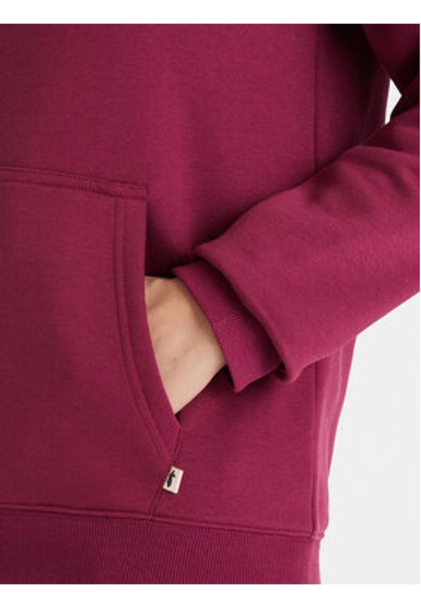 Cotopaxi Bluza Llama Patch Pullover Hoodie F24474W1160 Fioletowy Regular Fit. Kolor: fioletowy. Materiał: syntetyk