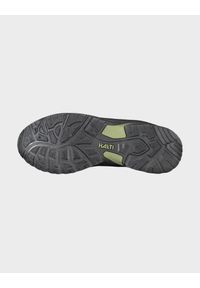 Whistler - Buty trekkingowe męskie Halti Fara Mid 2 DX. Kolor: czarny
