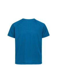 Stedman - Koszulka Dziecięca/dziecięca Raglan Active T-shirt. Kolor: turkusowy, niebieski, wielokolorowy. Długość rękawa: raglanowy rękaw