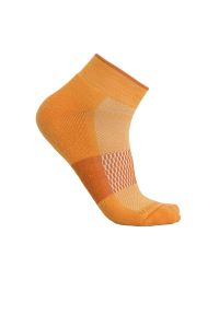 Skarpety Icebreaker Merino Multisport Light Mini 1051328661 - pomarańczowe. Kolor: pomarańczowy. Materiał: nylon, materiał, lycra, wełna. Wzór: aplikacja