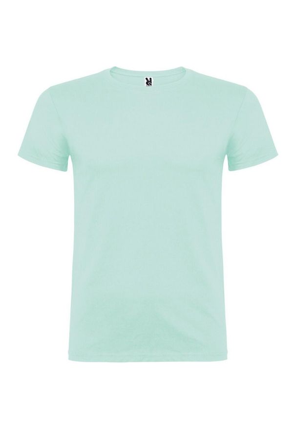 ROLY - Męska Koszulka Z Krótkim Rękawem Beagle. Kolor: zielony. Długość rękawa: krótki rękaw. Długość: krótkie. Sport: turystyka piesza